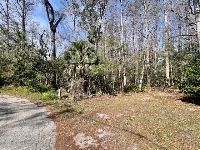 0 Southwood Court New Port Richey FL 34654 W7883211 image5