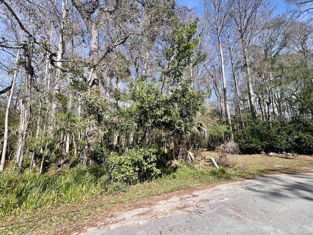 0 Southwood Court New Port Richey FL 34654 W7883211 image6