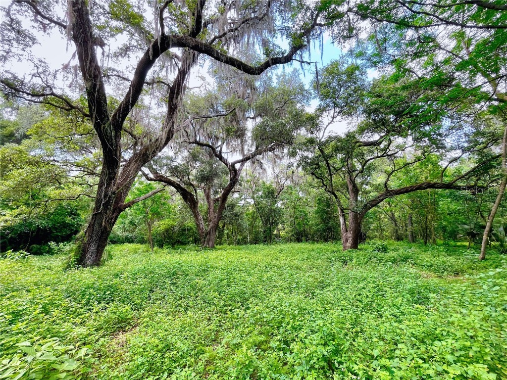 0 Spring Garden Avenue #01 De Leon Springs FL 32130 NS1080822 image1