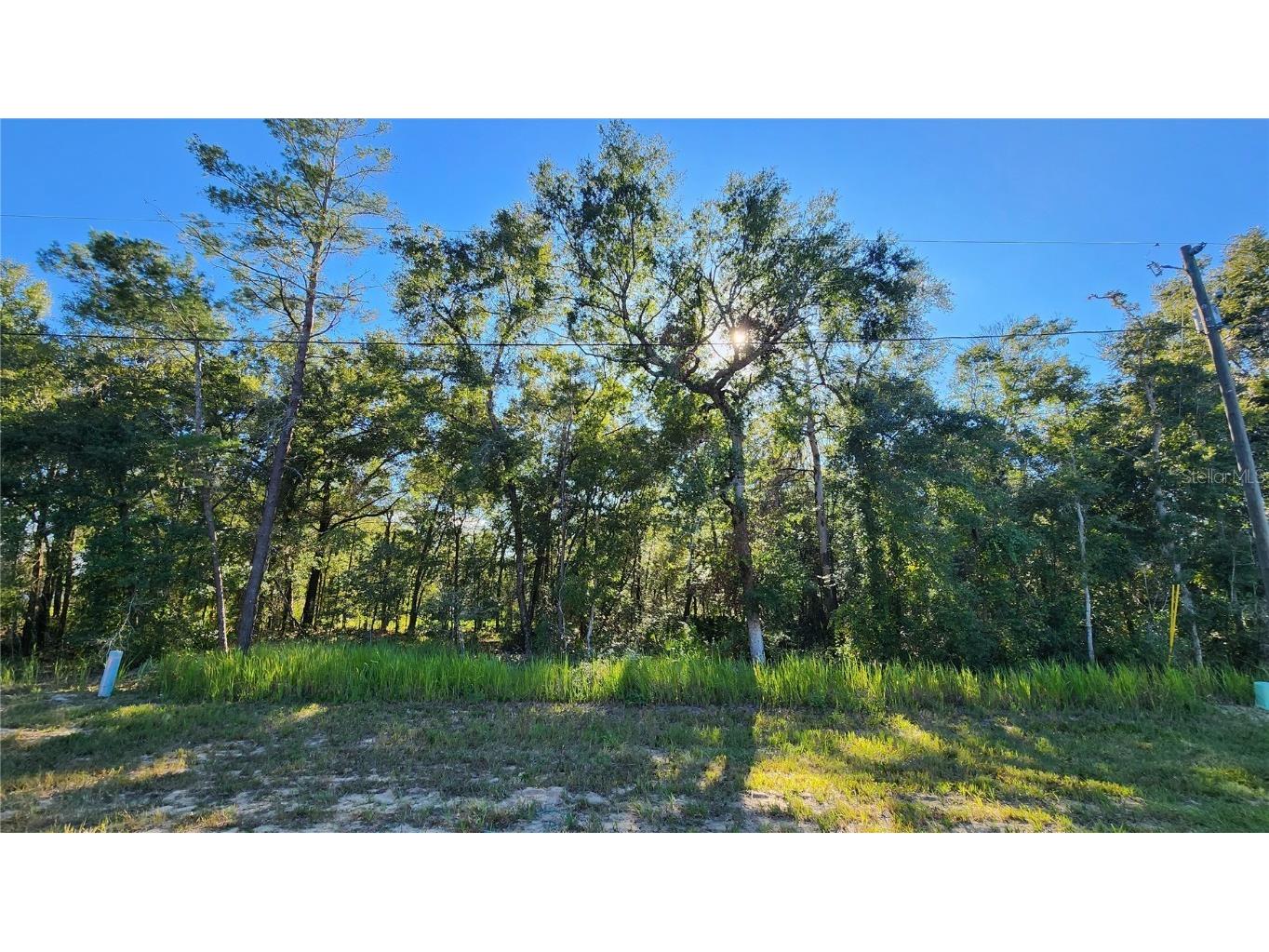 0 Spruce Road Ocala FL 34472 FC295482 image1