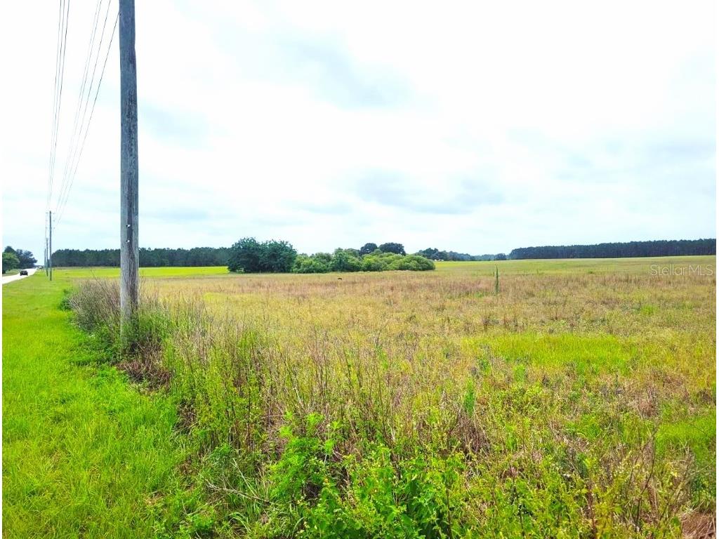 0 Sr-33/Pine Island Rd. Groveland FL 34736 - Black Lake S5110612 image2