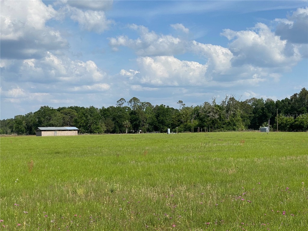 0 Sr 345 Chiefland FL 32626 C7509283 image13