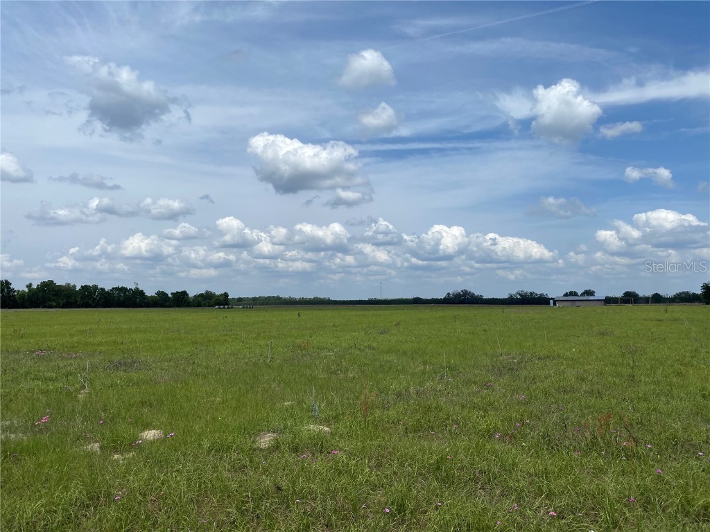 0 Sr 345 Chiefland FL 32626 C7509283 image20