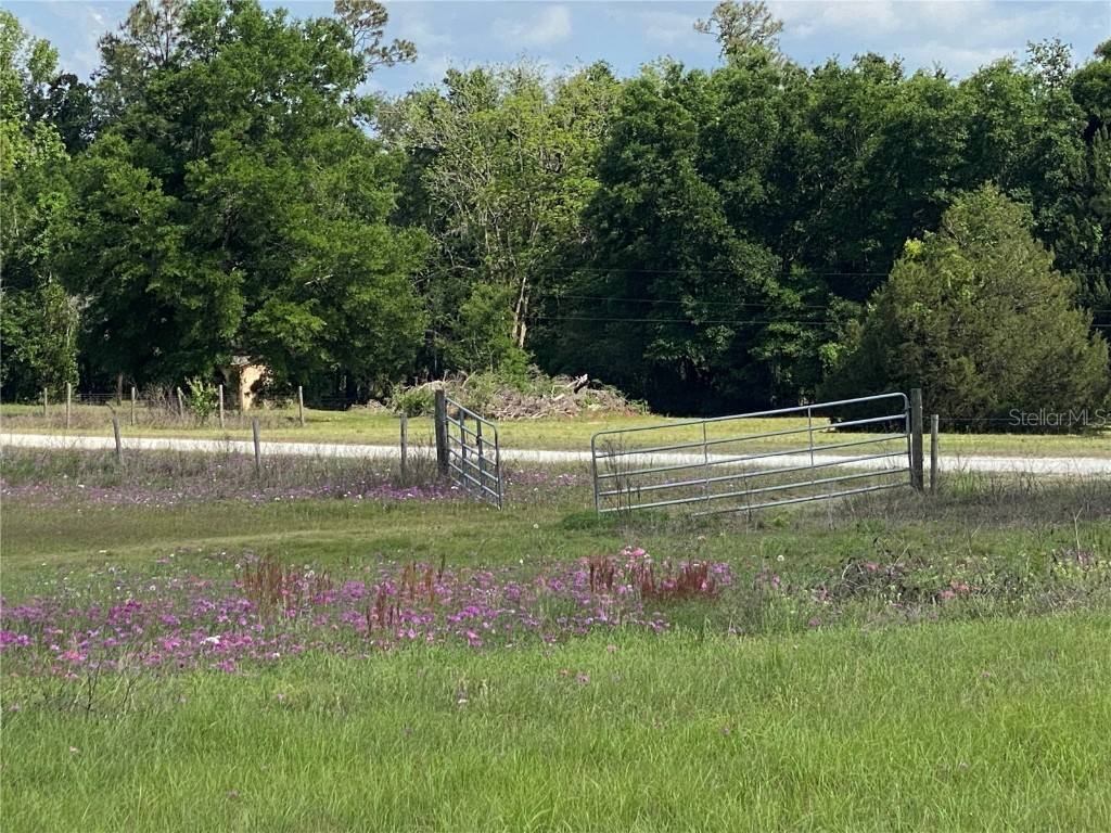 0 Sr 345 Chiefland FL 32626 C7509283 image22