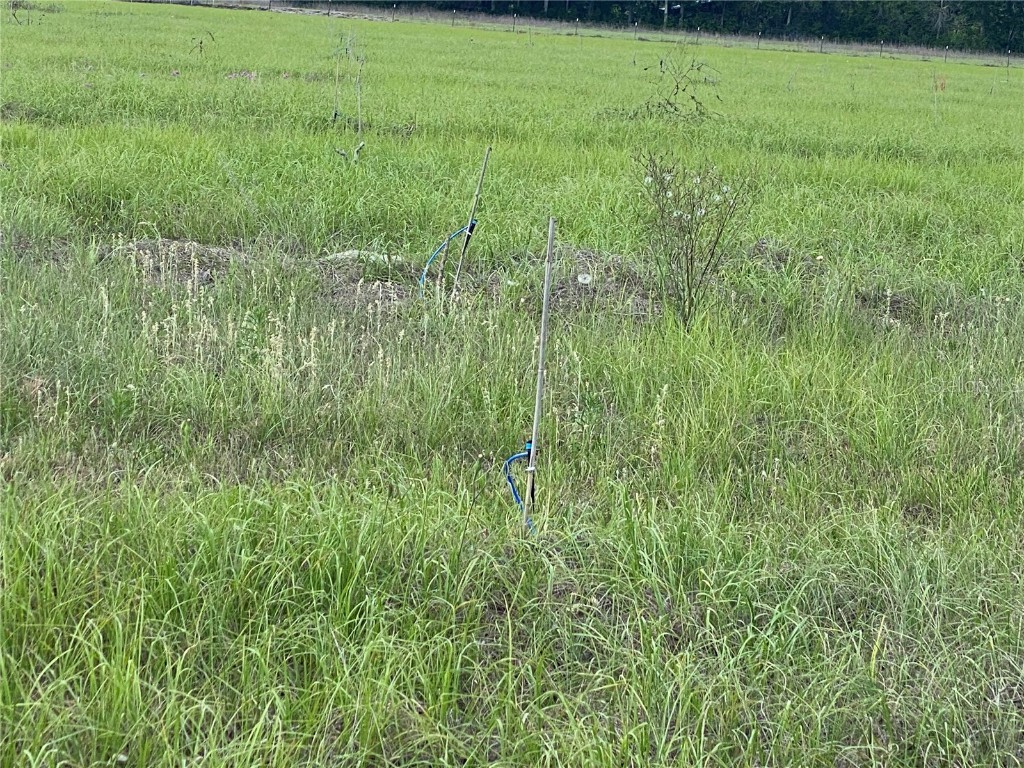 0 Sr 345 Chiefland FL 32626 C7509283 image24