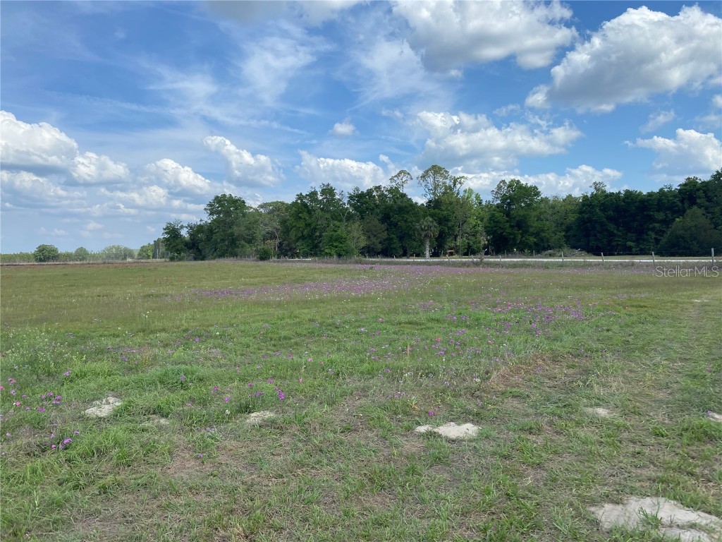 0 Sr 345 Chiefland FL 32626 C7509283 image27