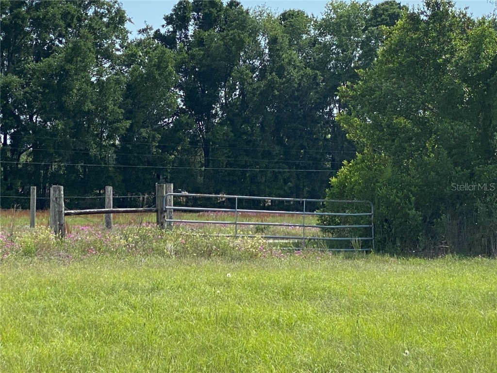 0 Sr 345 Chiefland FL 32626 C7509283 image28