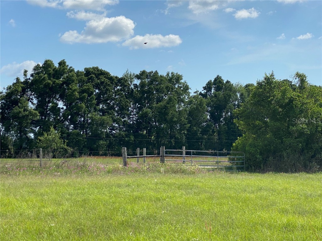 0 Sr 345 Chiefland FL 32626 C7509283 image29