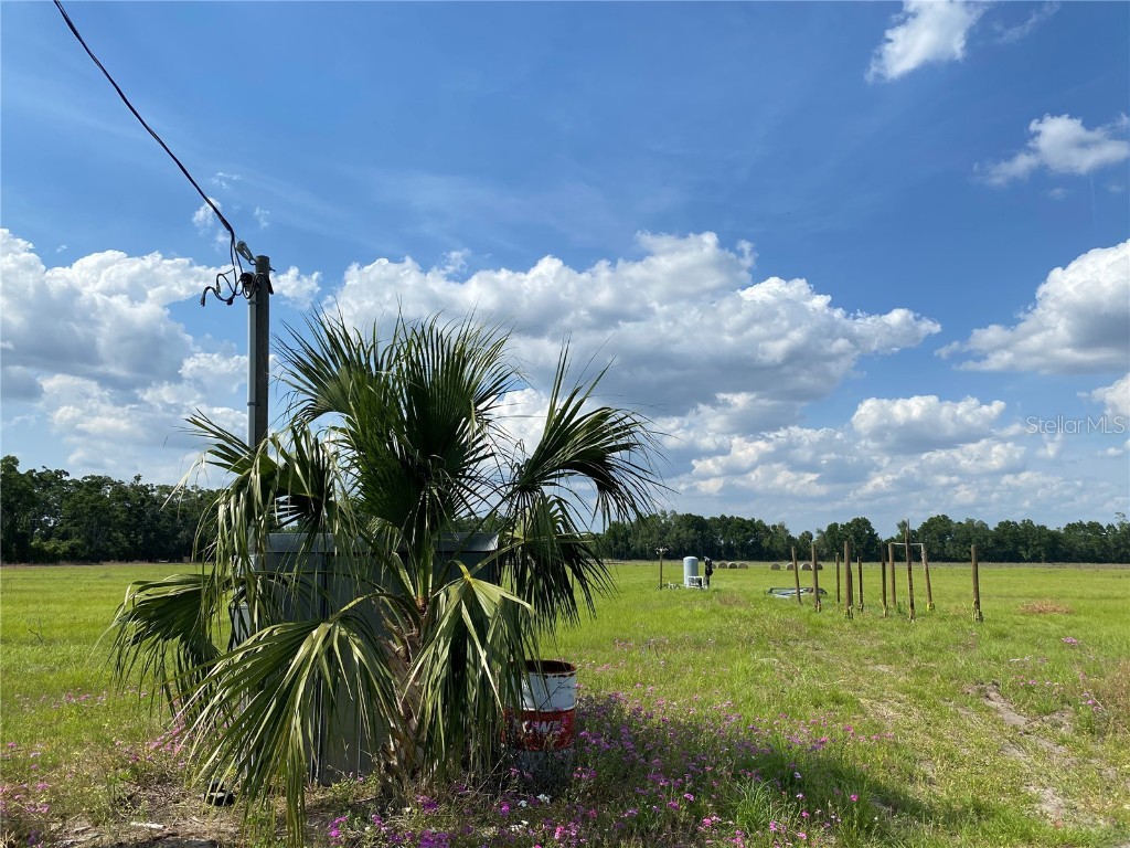 0 Sr 345 Chiefland FL 32626 C7509283 image43