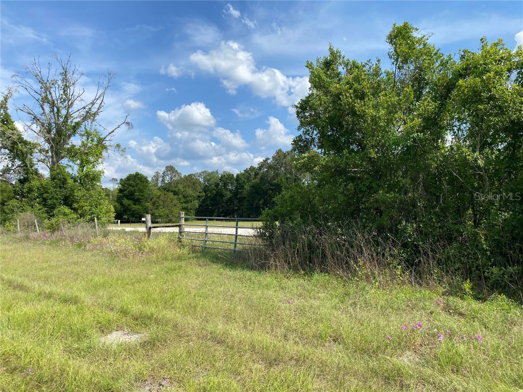 0 Sr 345 Chiefland FL 32626 C7509283 image44