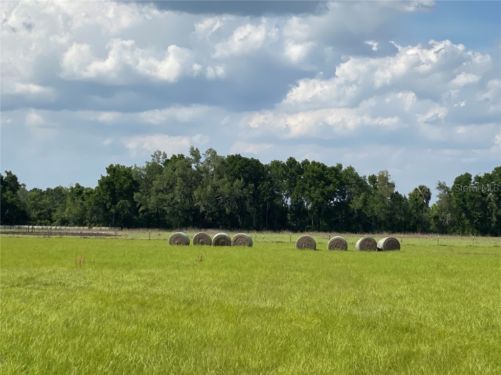 0 Sr 345 Chiefland FL 32626 C7509283 image45