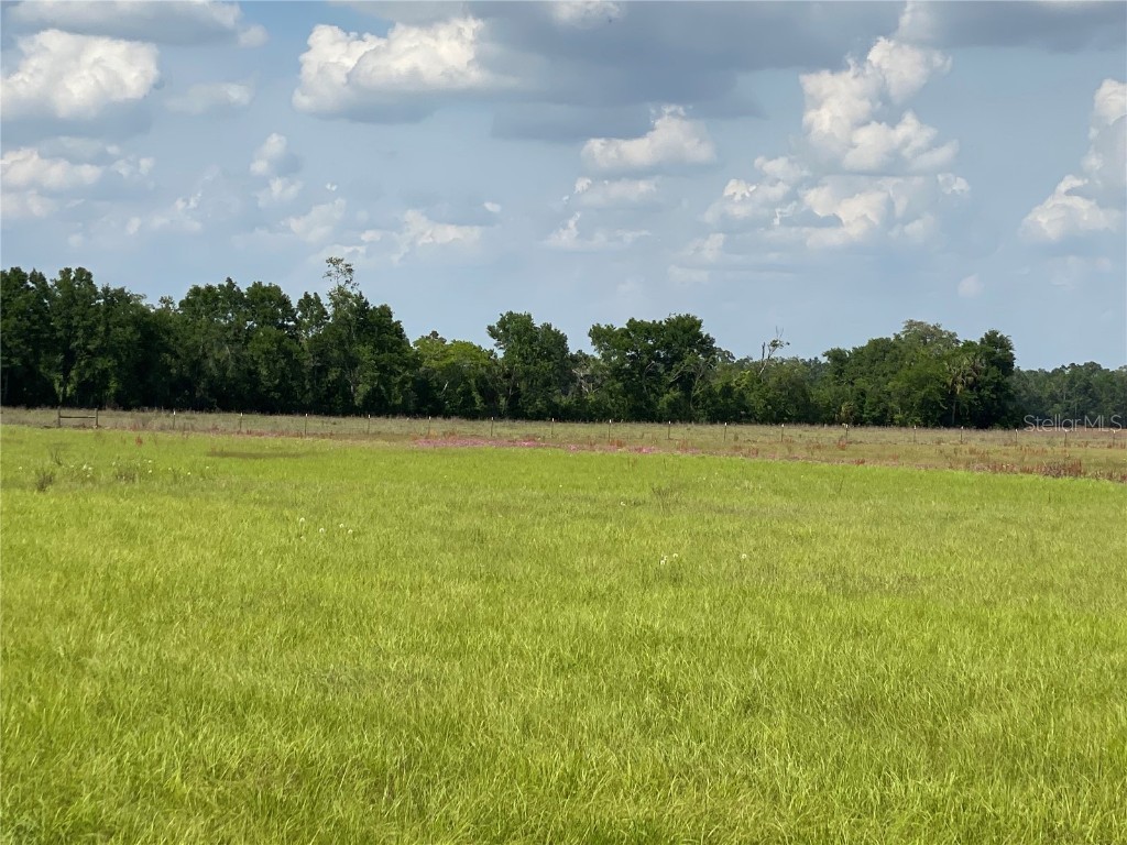 0 Sr 345 Chiefland FL 32626 C7509283 image46