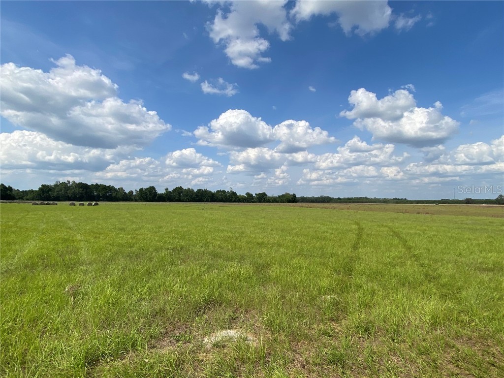 0 Sr 345 Chiefland FL 32626 C7509283 image47