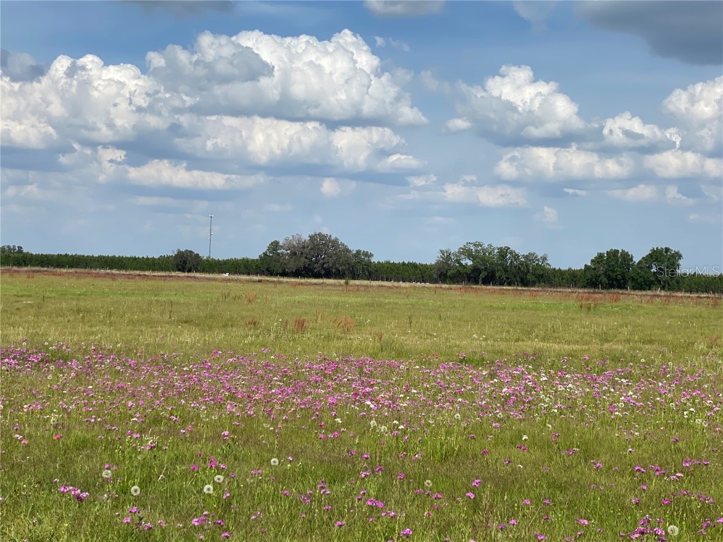 0 Sr 345 Chiefland FL 32626 C7509283 image49