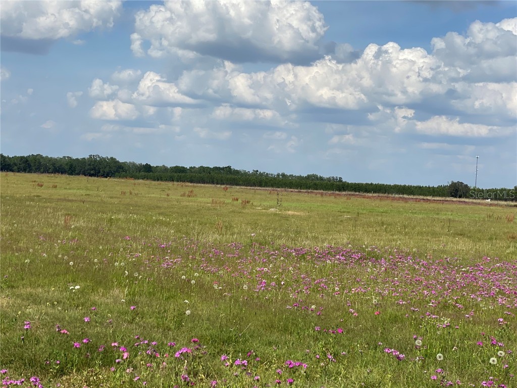 0 Sr 345 Chiefland FL 32626 C7509283 image50