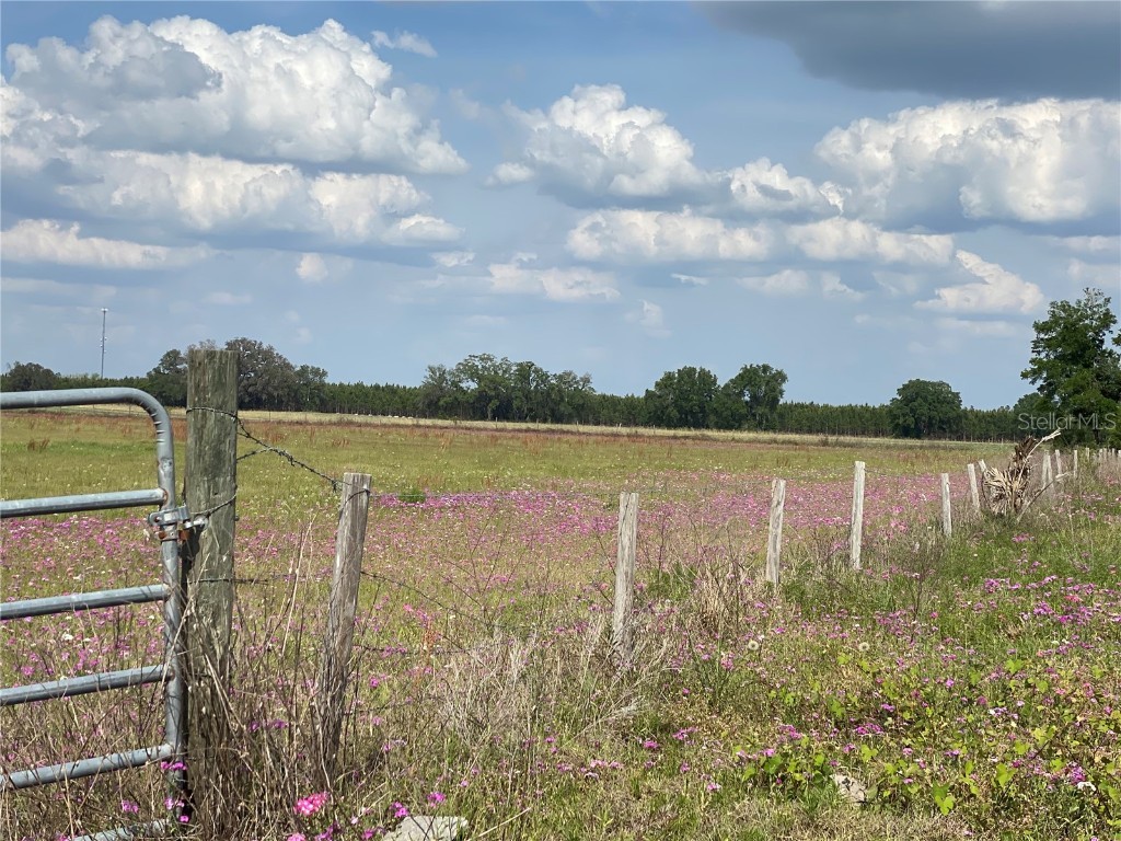 0 Sr 345 Chiefland FL 32626 C7509283 image51