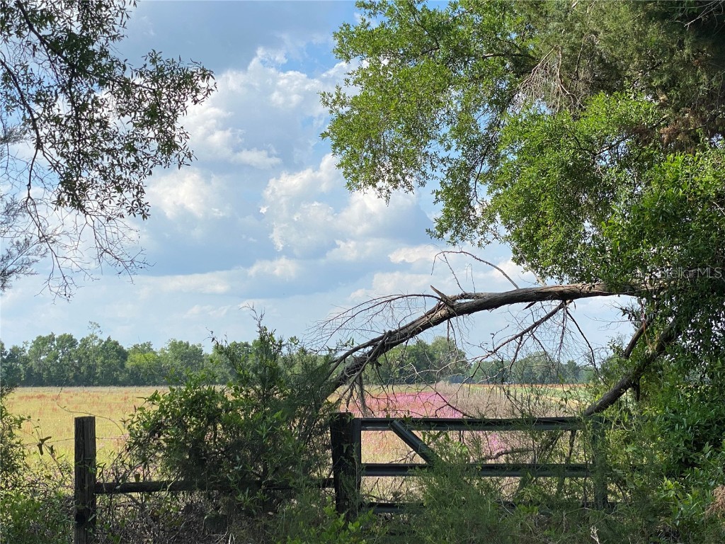 0 Sr 345 Chiefland FL 32626 C7509283 image52