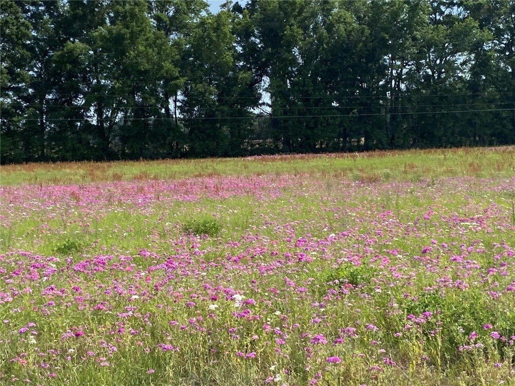 0 Sr 345 Chiefland FL 32626 C7509283 image54