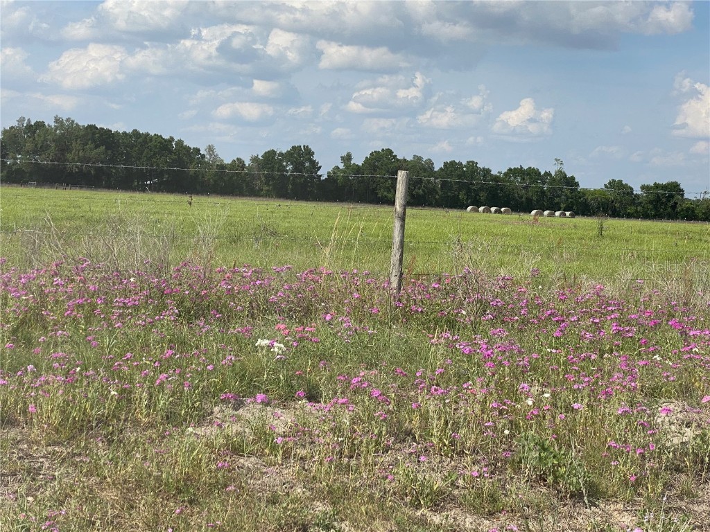 0 Sr 345 Chiefland FL 32626 C7509283 image55