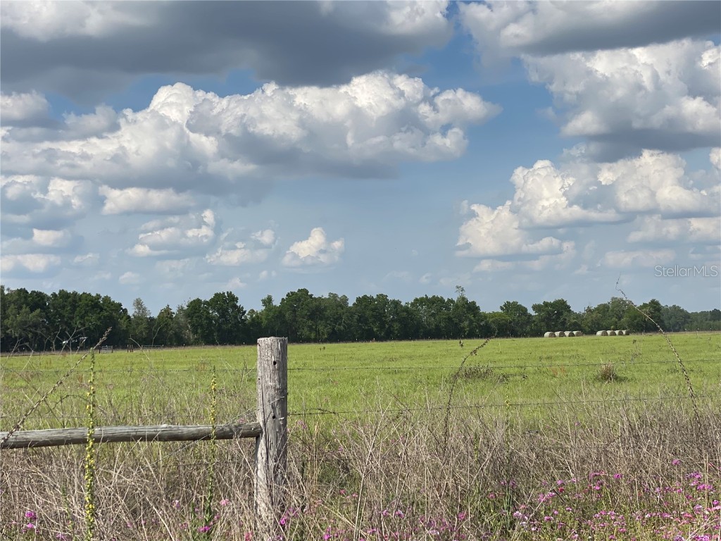 0 Sr 345 Chiefland FL 32626 C7509283 image56