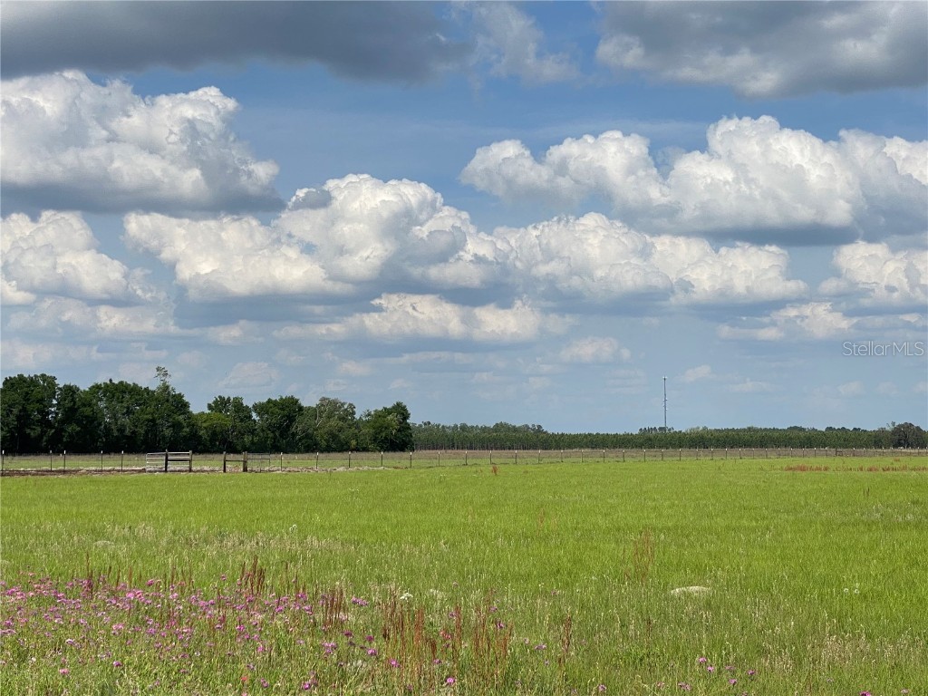 0 Sr 345 Chiefland FL 32626 C7509283 image59