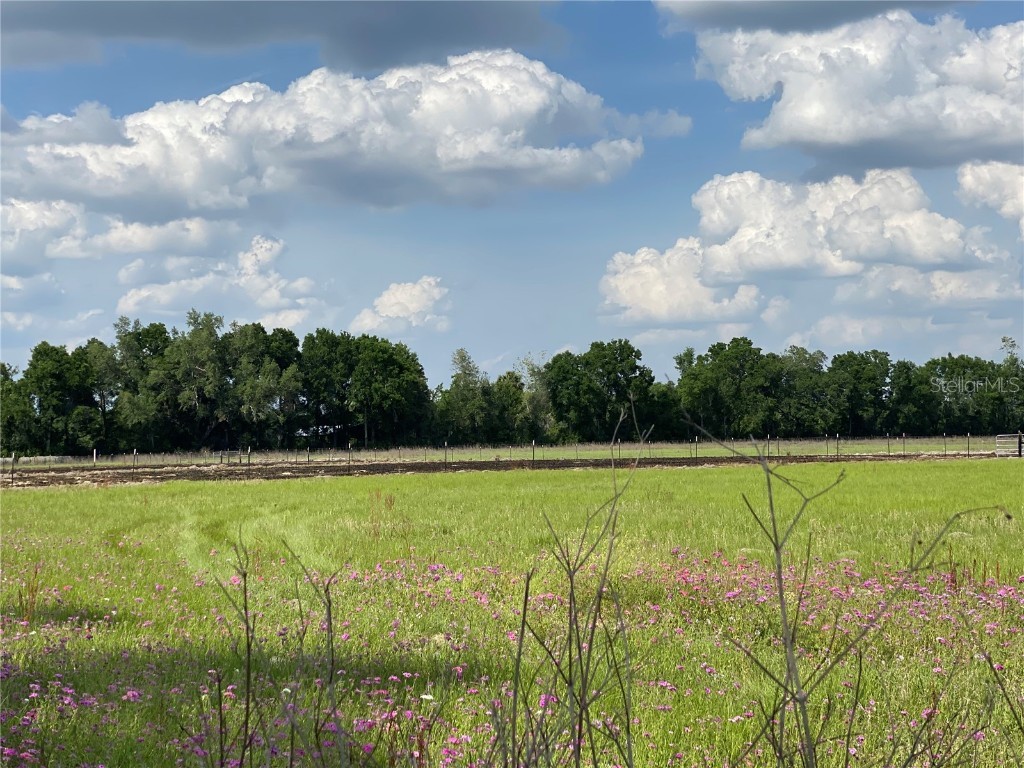 0 Sr 345 Chiefland FL 32626 C7509283 image60