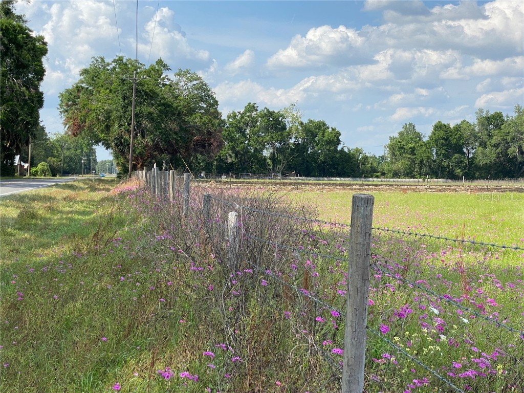 0 Sr 345 Chiefland FL 32626 C7509283 image62