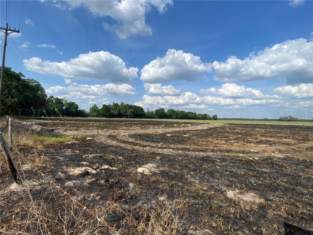 0 Sr 345 Chiefland FL 32626 C7509283 image64