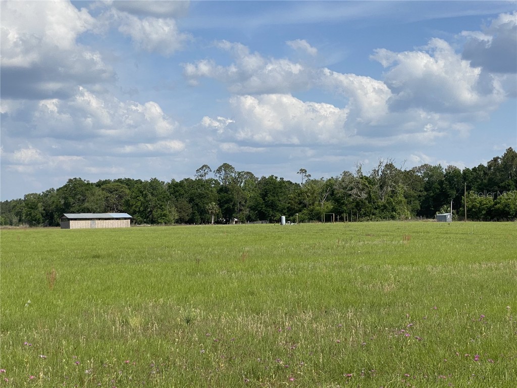 0 Sr 345 Chiefland FL 32626 C7510578 image4