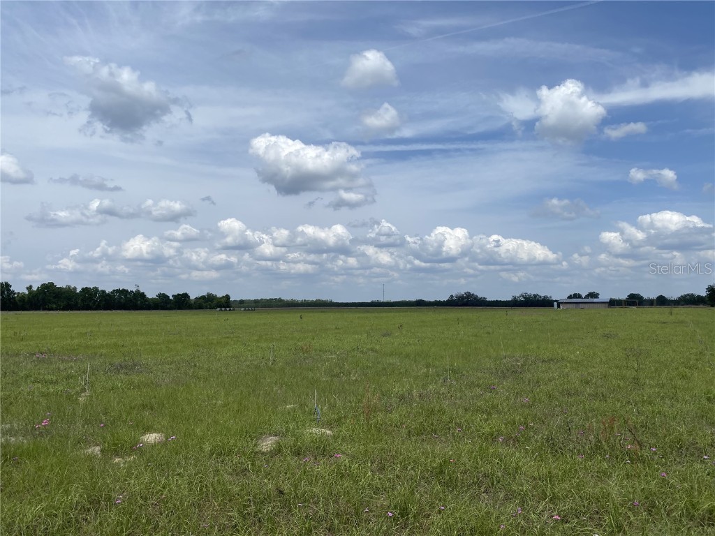 0 Sr 345 Chiefland FL 32626 C7510578 image5