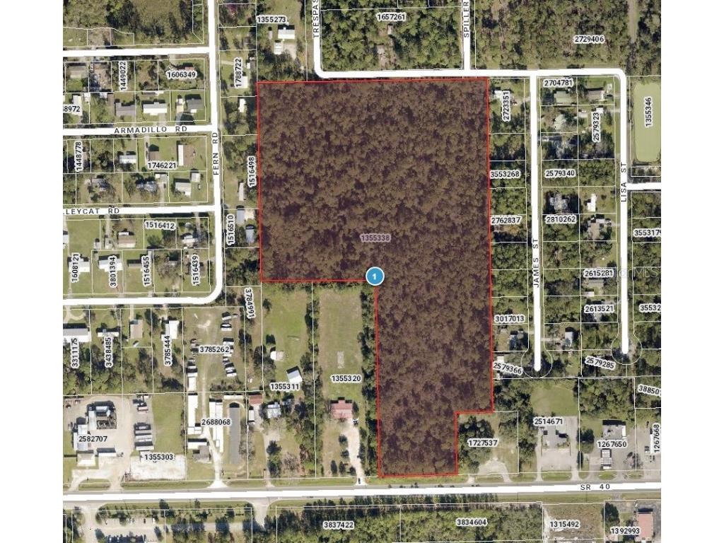 0 Sr-40 Astor FL 32102 FC308179 image1