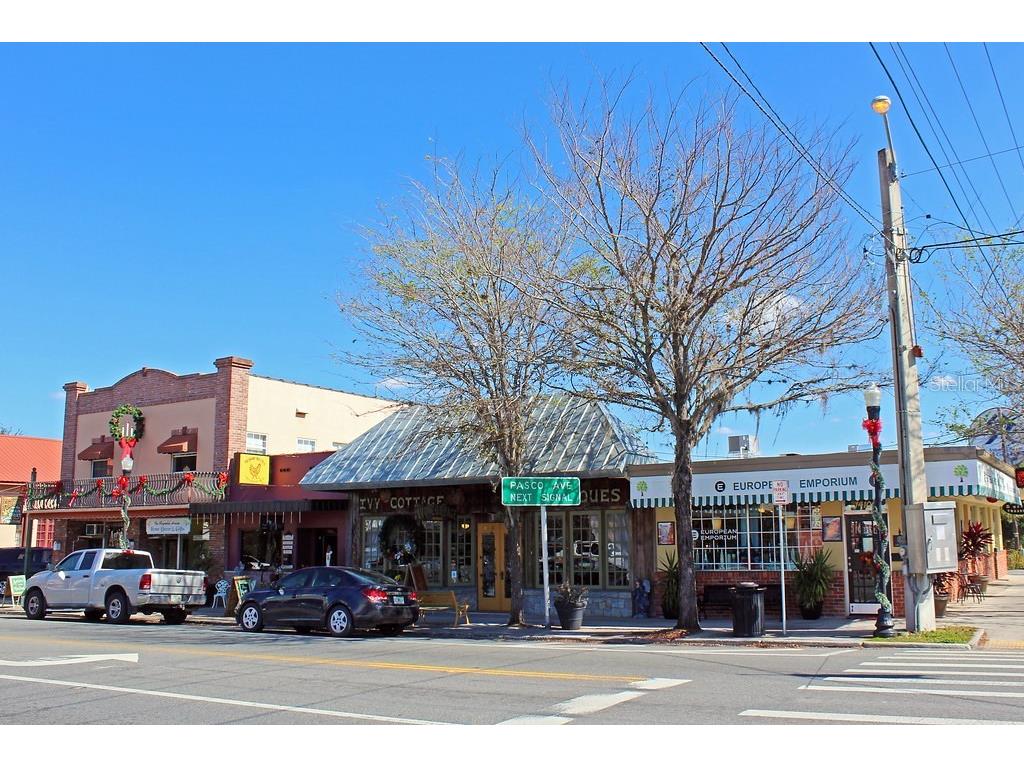 0 St Joe Road Dade City FL 33525 TB8359374 image14