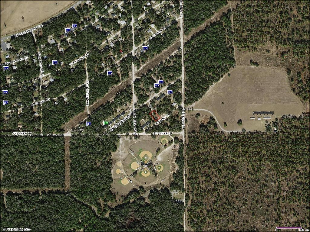 0 St Peter Drive Dunnellon FL 34432 W7865324 image1