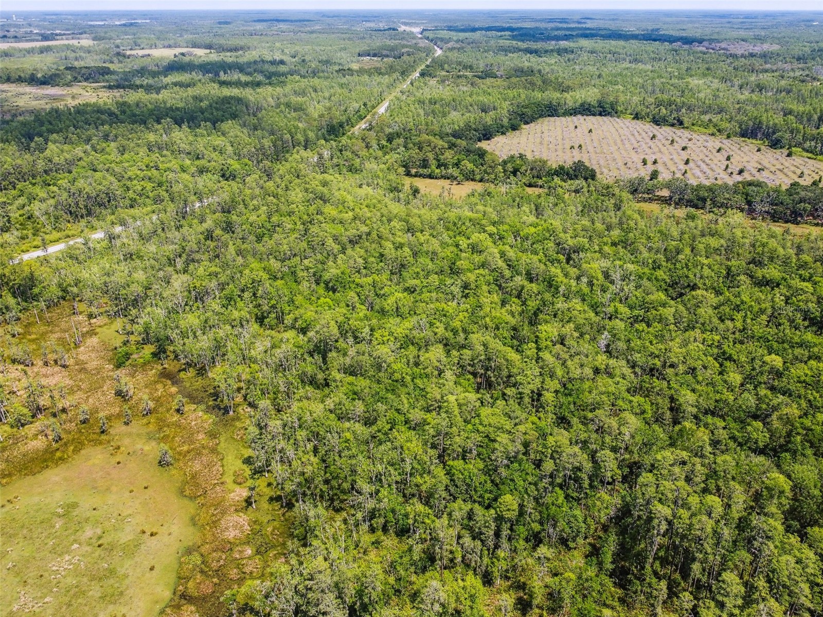 0 St Rd 557 Lake Alfred FL 33850 L4958007 image10