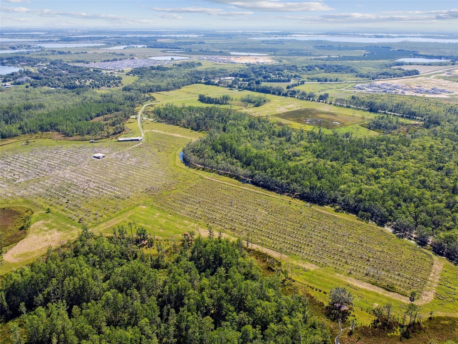 0 St Rd 557 Lake Alfred FL 33850 L4958007 image15