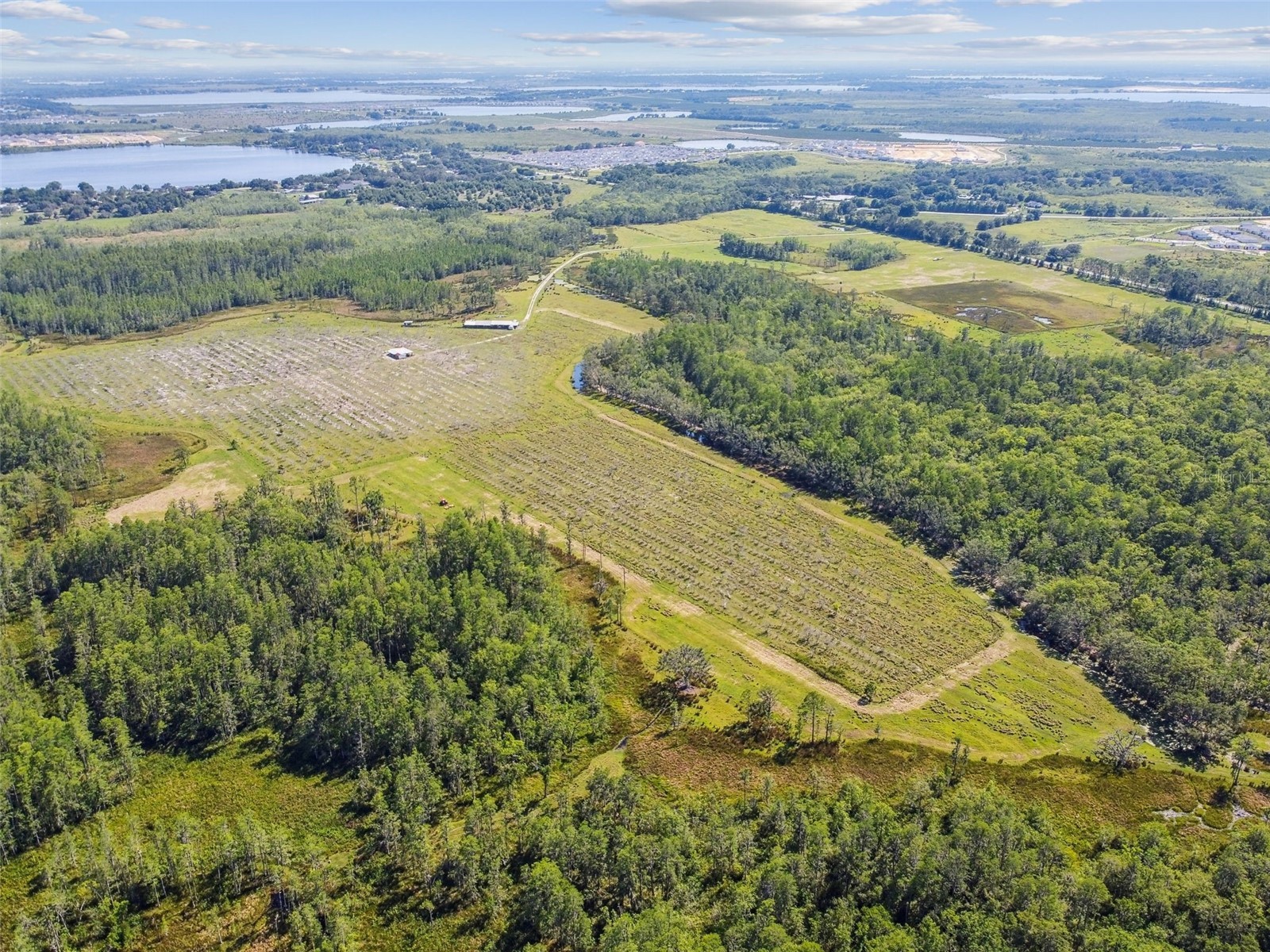0 St Rd 557 Lake Alfred FL 33850 L4958007 image16