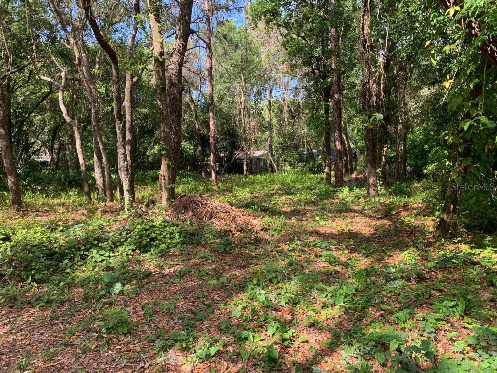 0 Stanley Street New Port Richey FL 34654 T3518419 image1