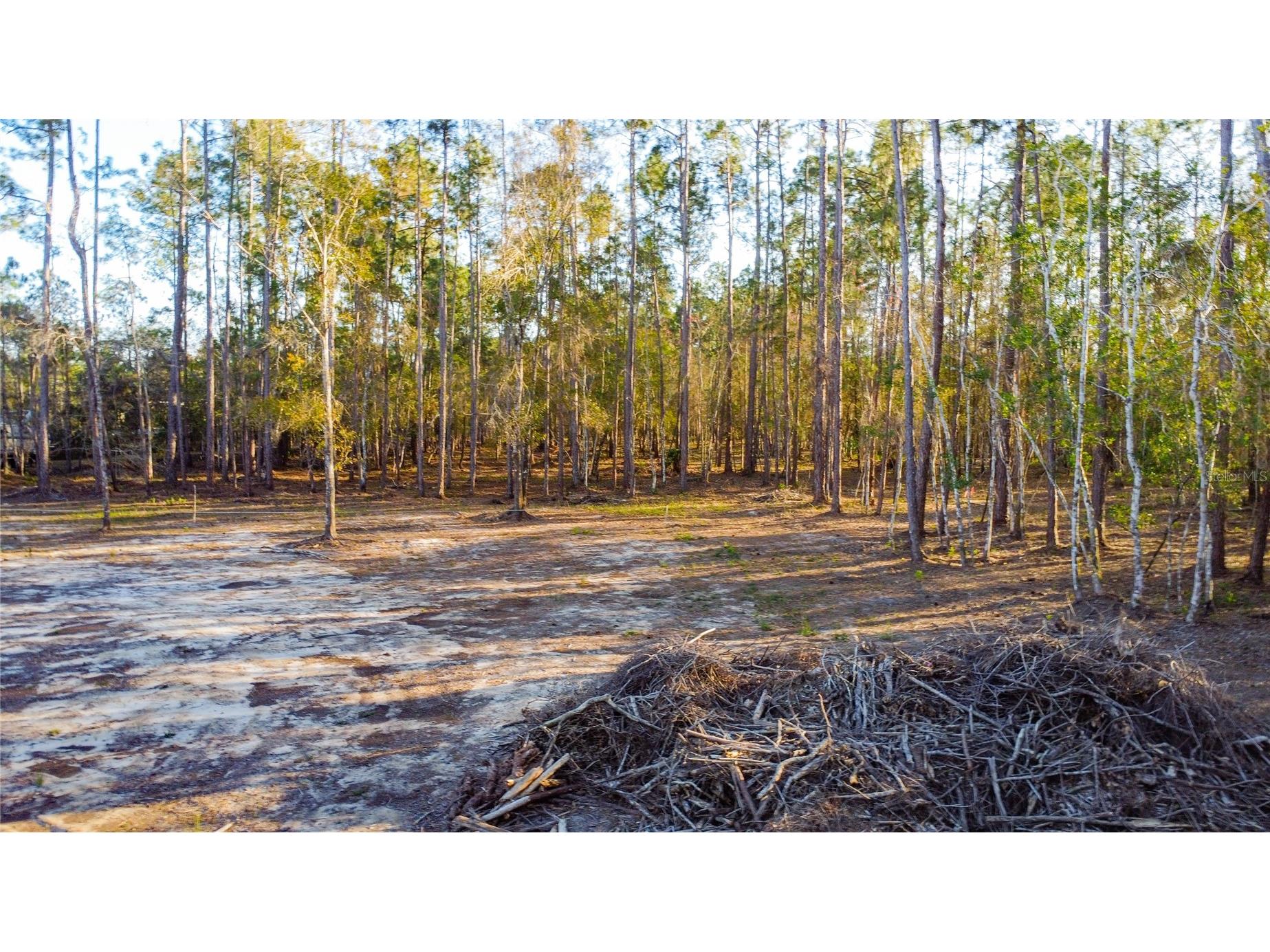 0 State Road 33 Clermont FL 34714 G5107149 image10