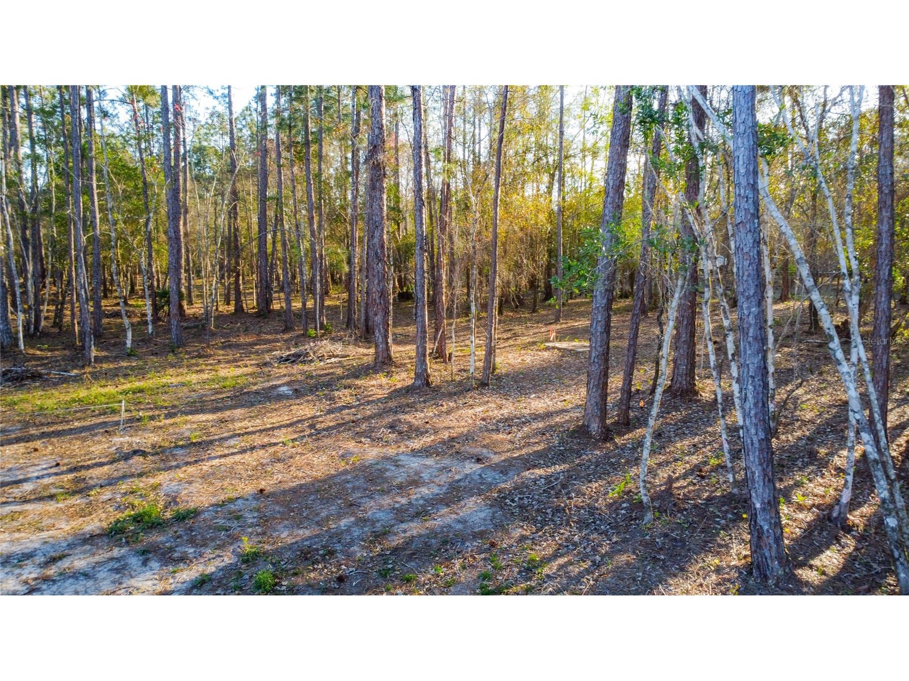0 State Road 33 Clermont FL 34714 G5107149 image11