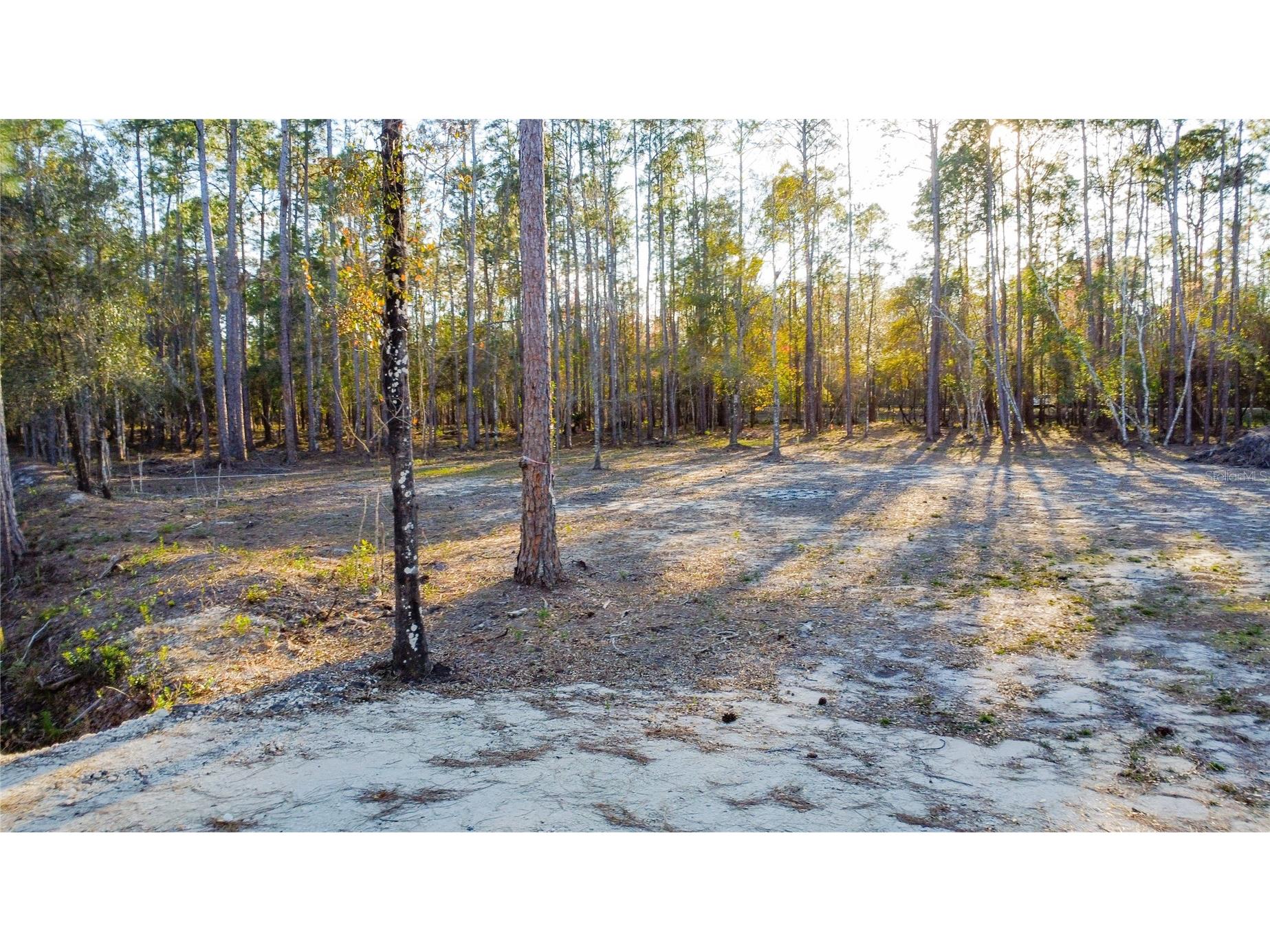 0 State Road 33 Clermont FL 34714 G5107149 image14
