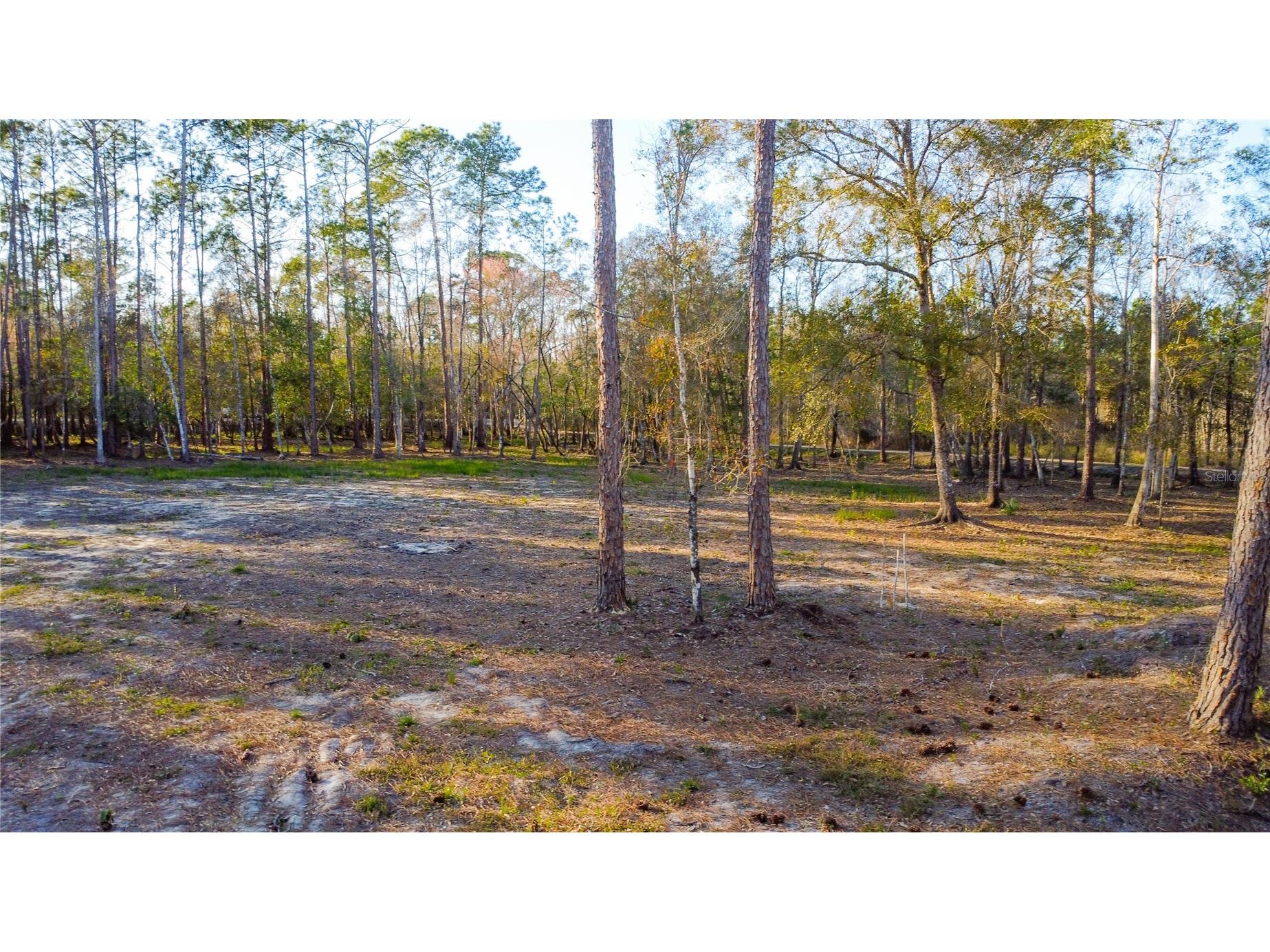 0 State Road 33 Clermont FL 34714 G5107149 image15