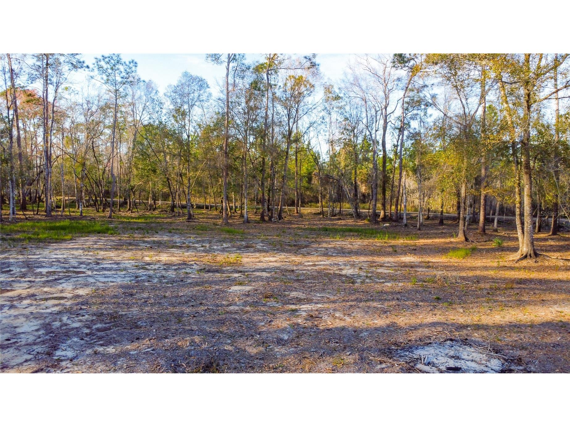 0 State Road 33 Clermont FL 34714 G5107149 image16