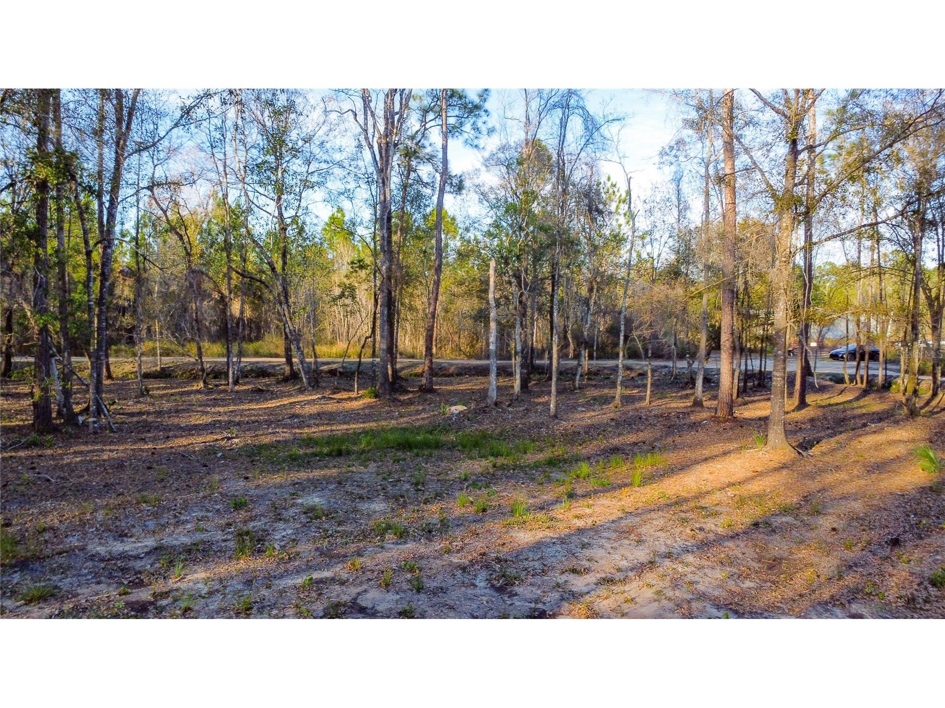 0 State Road 33 Clermont FL 34714 G5107149 image17