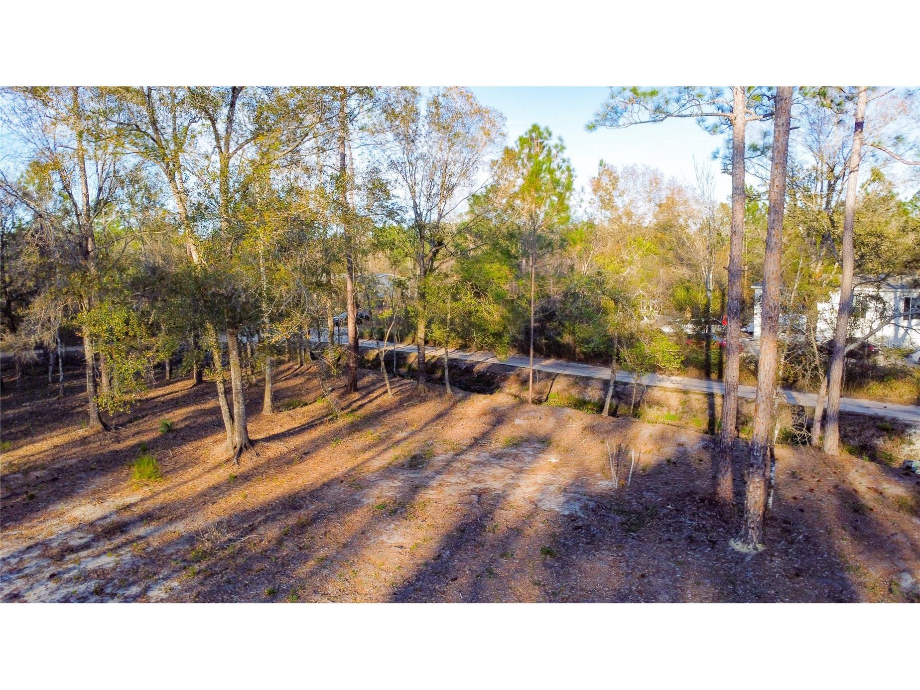 0 State Road 33 Clermont FL 34714 G5107149 image18