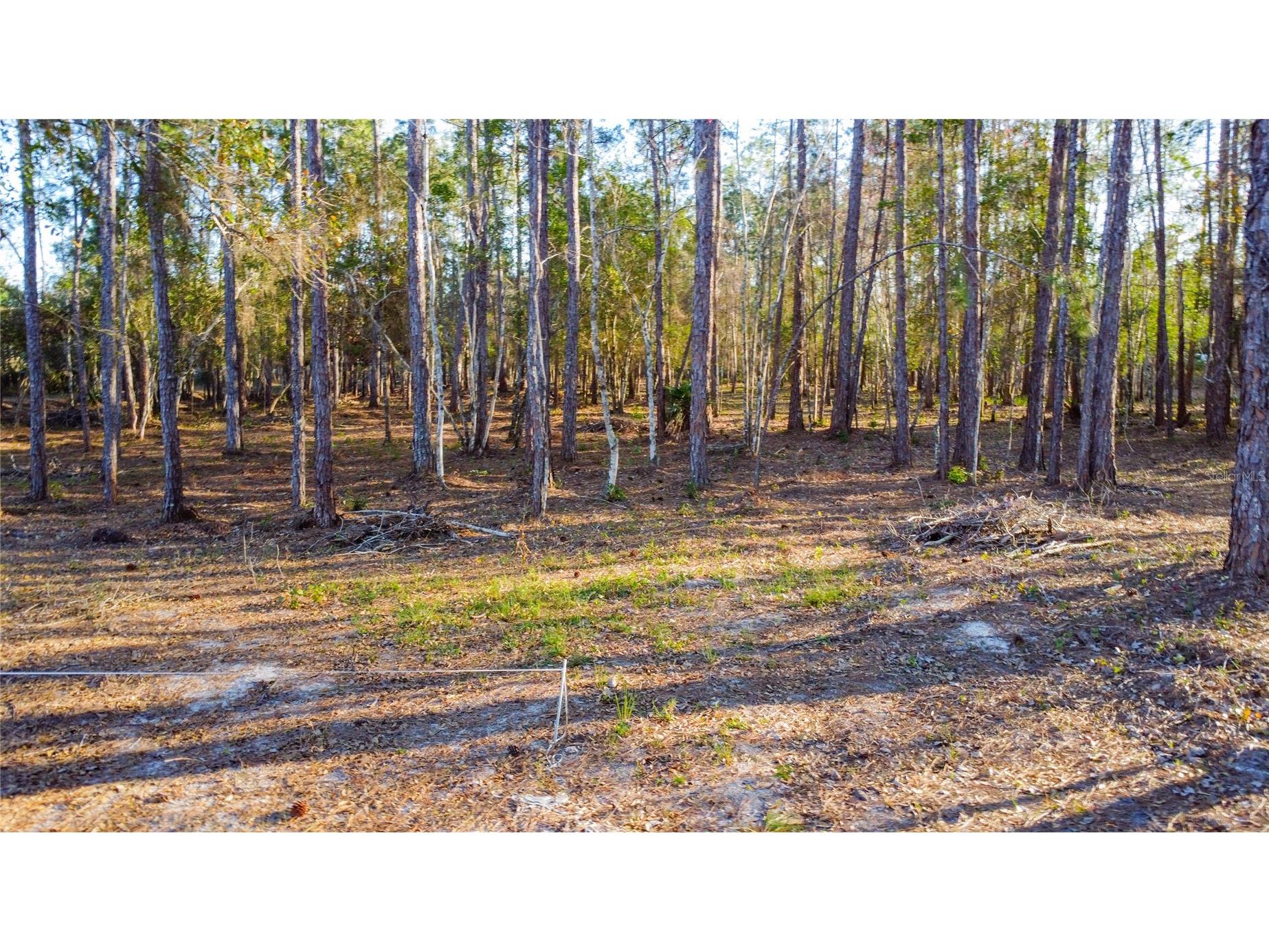 0 State Road 33 Clermont FL 34714 G5107149 image4