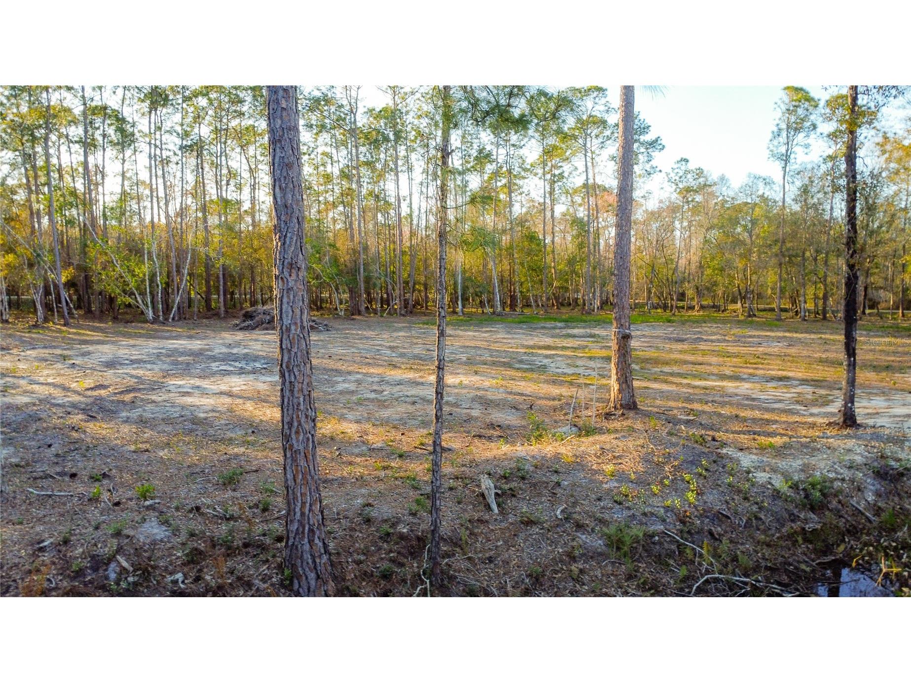 0 State Road 33 Clermont FL 34714 G5107149 image7