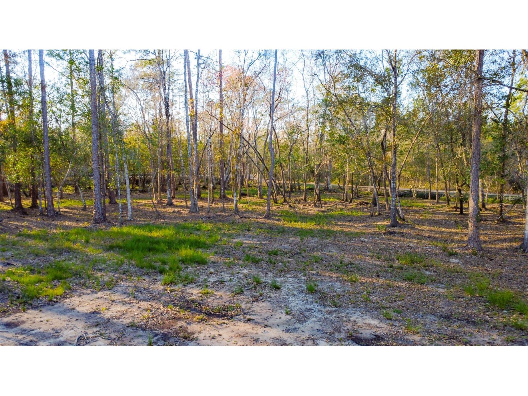 0 State Road 33 Clermont FL 34714 G5107149 image8
