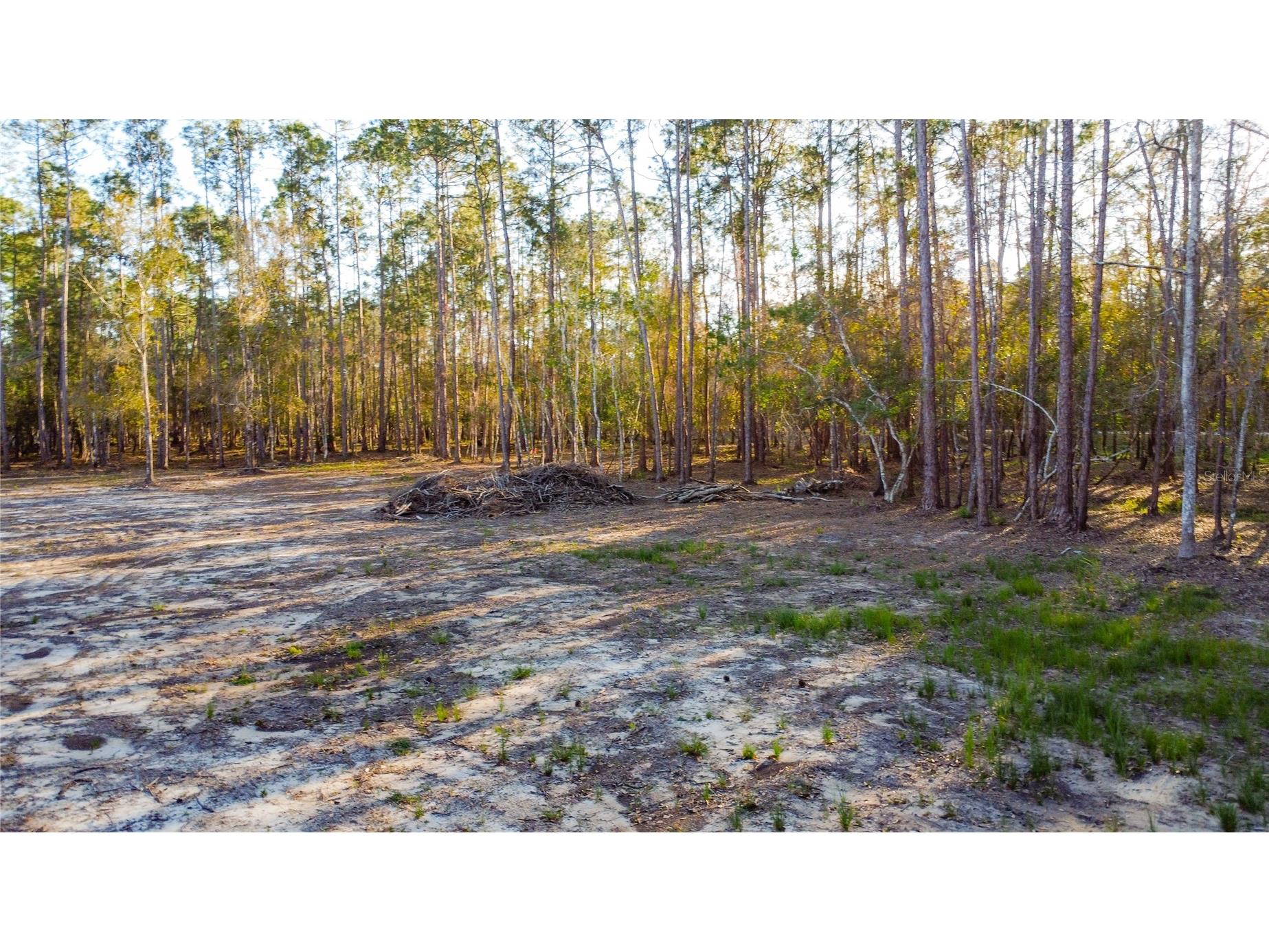0 State Road 33 Clermont FL 34714 G5107149 image9