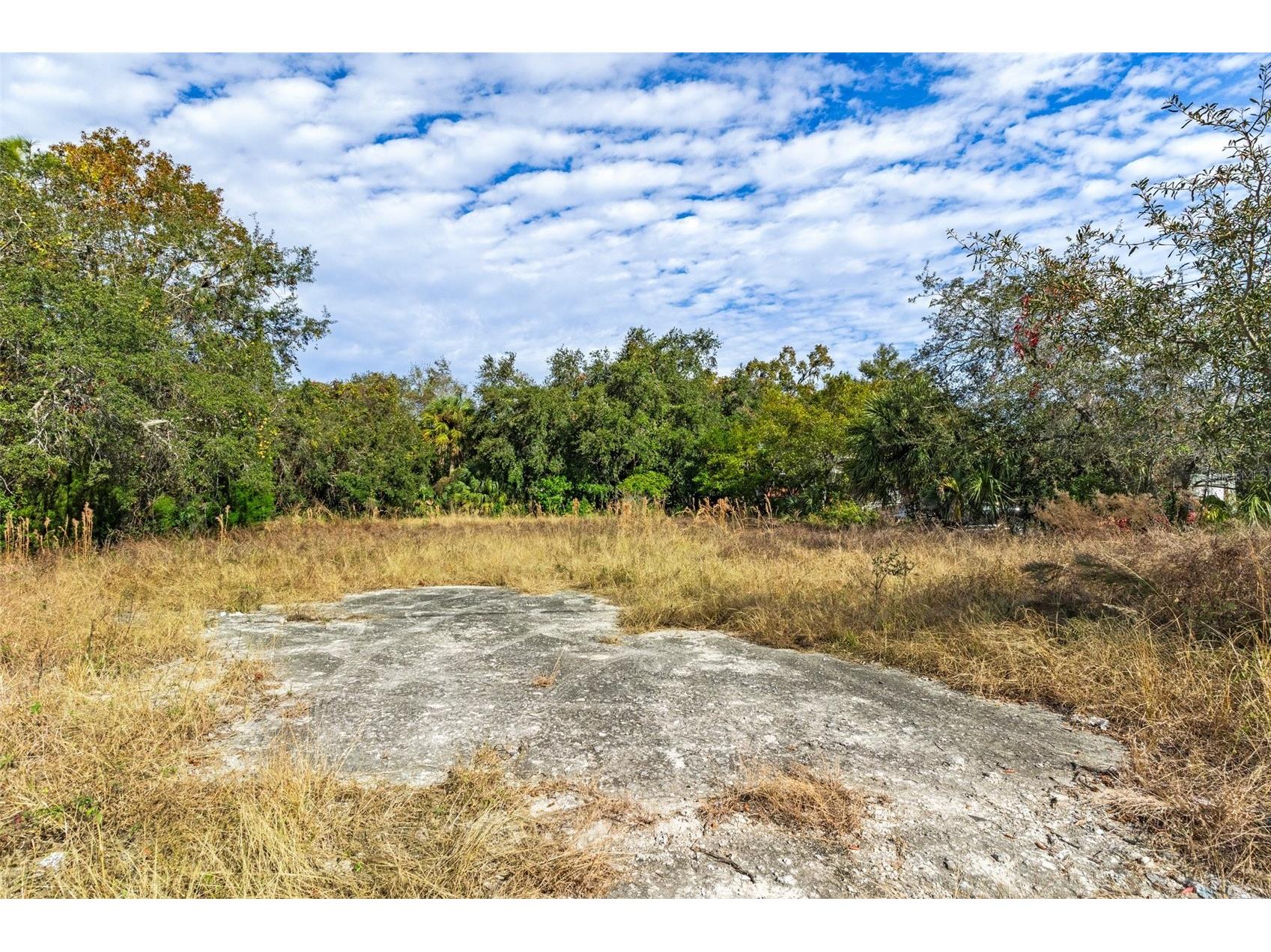 10331 State Road 52 Hudson FL 34669 W7885445 image15