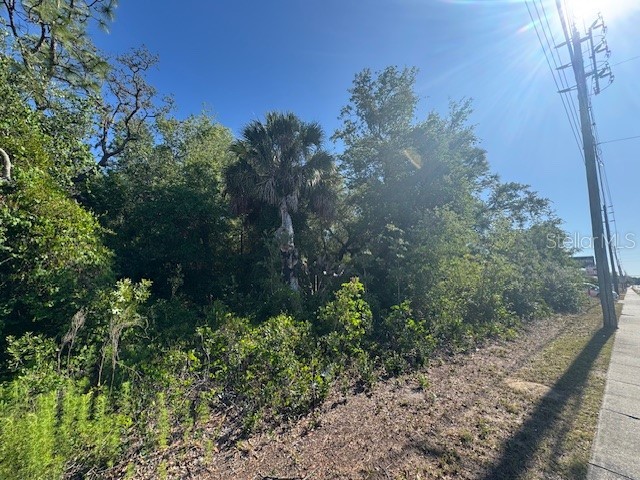 10331 State Road 52 Hudson FL 34669 W7885445 image4